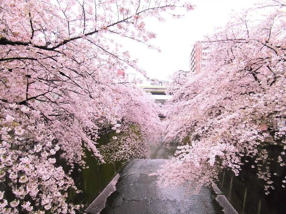 Tokiwadai Terrace Suites Tokyo Japan